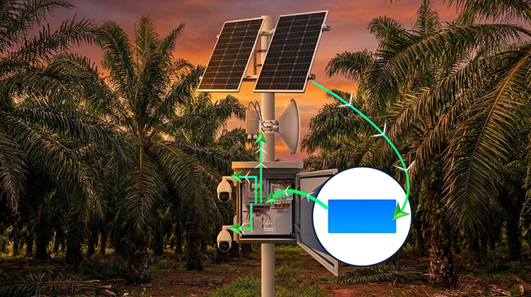 Key Benefits for Plantation Owners